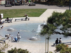 函館公園の画像